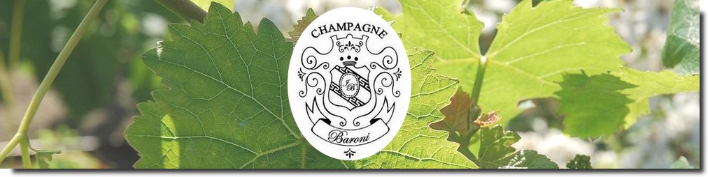 Champagne Baroni Vente en ligne Livraison Prix producteur
